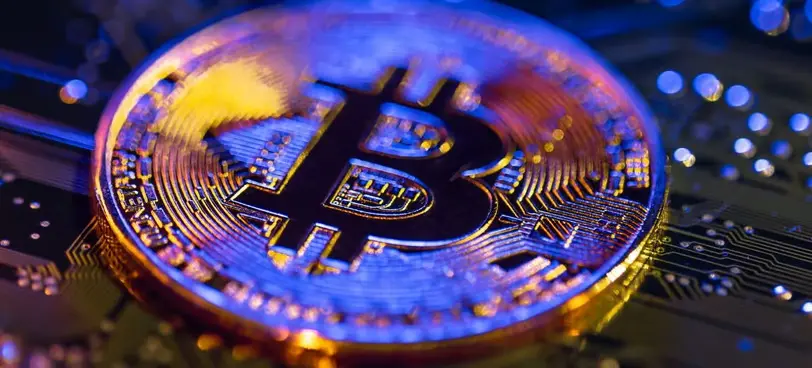 Elecciones de EE.UU. 2024: Impacto en la volatilidad de las Criptomonedas